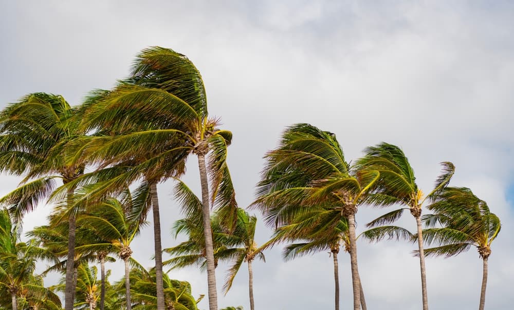 Commercial Real Estate Investors Must Rethink Stable Income Assumptions After Disasters, Expert Warns