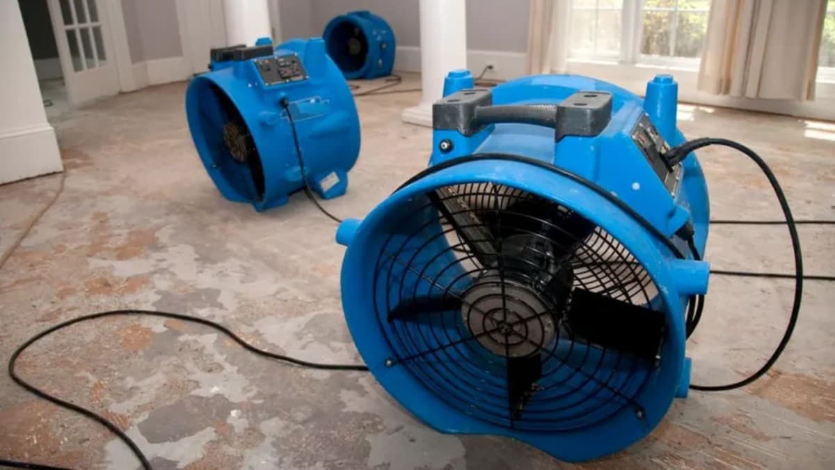Houston Water Damage Reviews Highlight 24-Hour Response