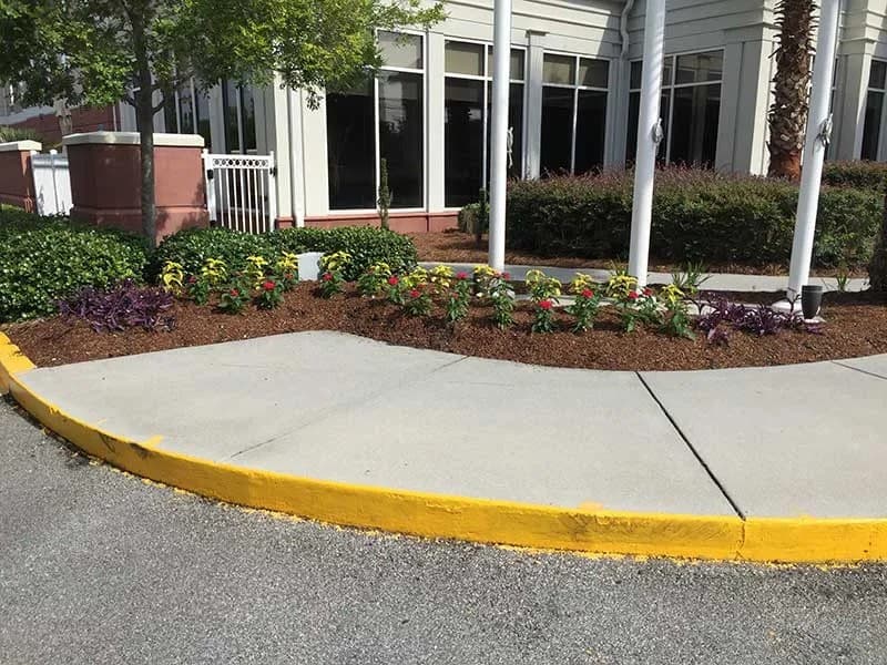 Turf Scouts Marks 15 Years of Residential Lawn Services Across Savannah and Isle of Hope