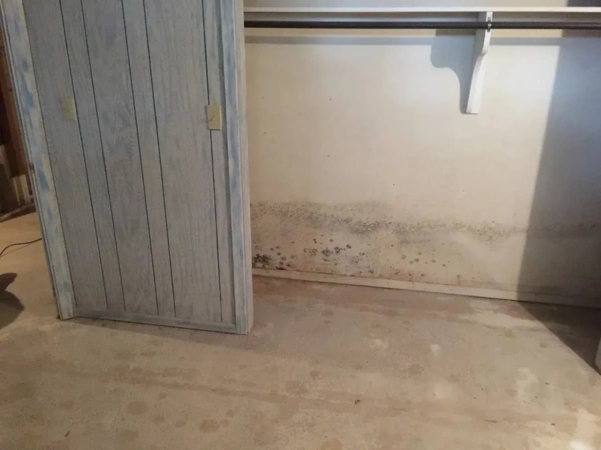FreshCo Cleaning & Restoration Expands Mold Remediation Services in Wichita, KS