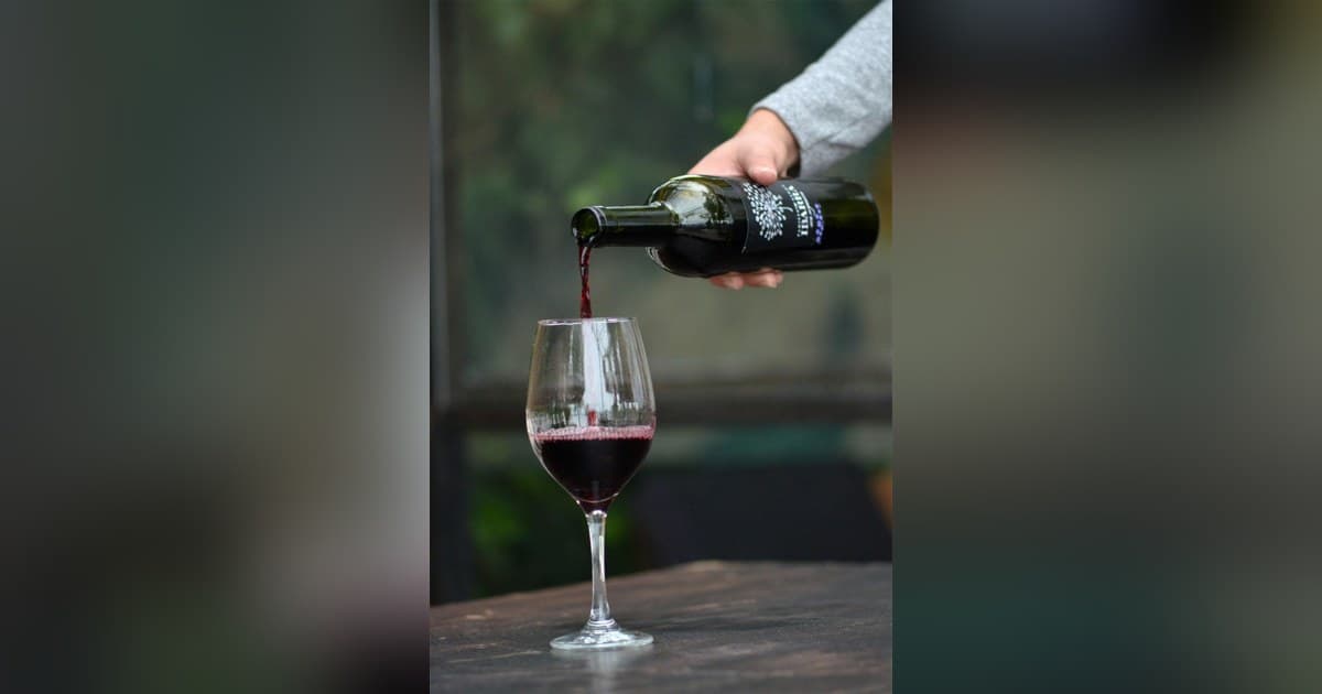 10Musica Releases Updated Guide on Wine Calorie Counts Ahead of Holiday Season