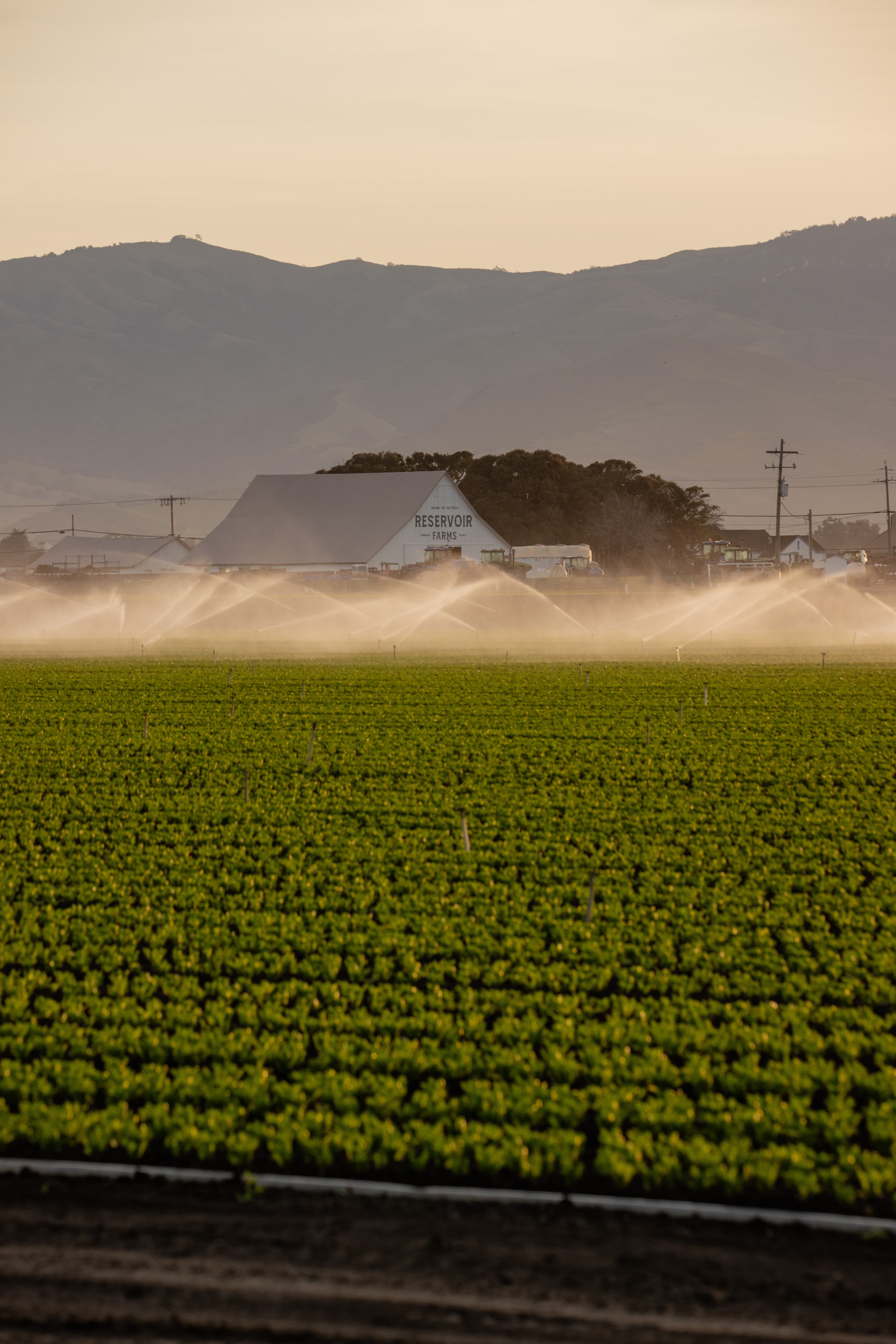 Reservoir Launches Free Associate Tier to Accelerate AgTech Field Testing