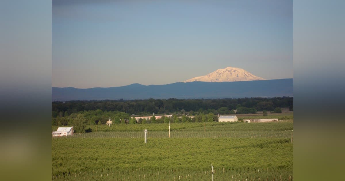 Reservoir Farms Expands to Washington to Advance Physical AI for Tree Fruit and Blueberries