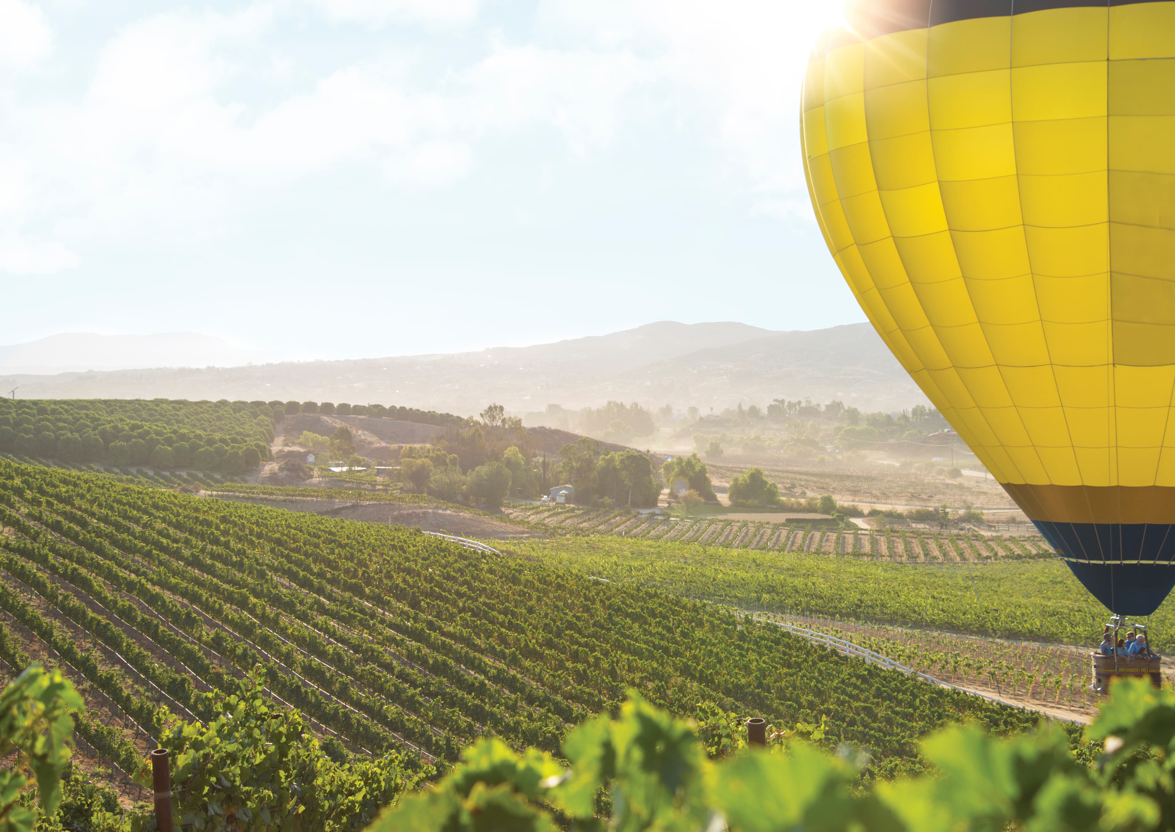 SoCal Wine Country EDC Highlights Skilled Workforce and Veteran Population as Key Economic Drivers