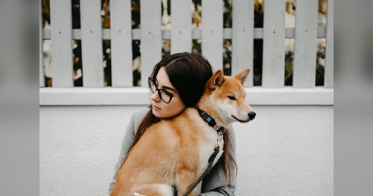 My ESA Therapist Addresses Growing Consumer Questions About Online ESA Letter Services