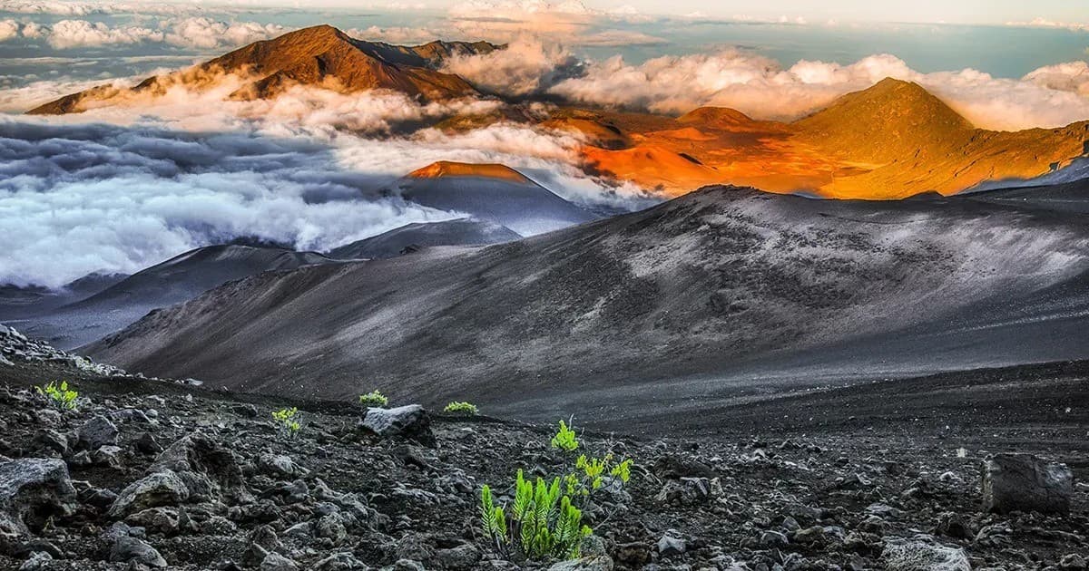 This Week Hawaii Celebrates 60 Years with Expanded Hybrid Media Initiative and Digital Tracking Tools