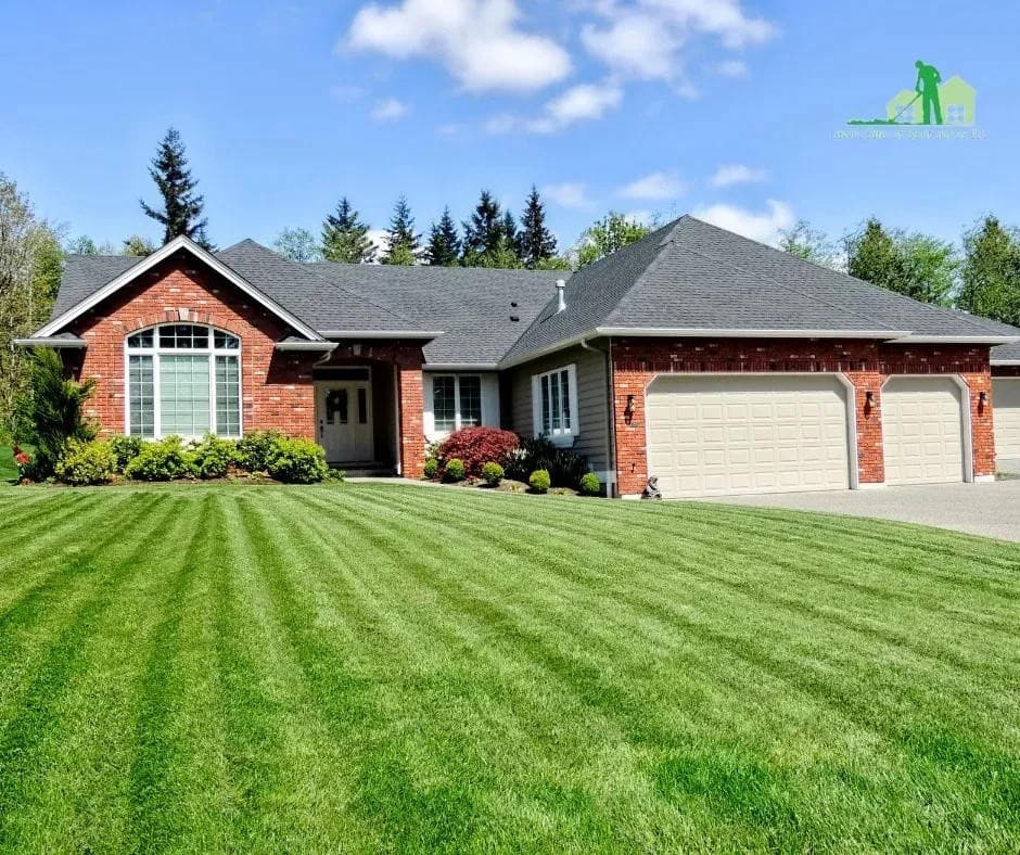 Lawn Care of Saint Johns Expands Services With Pet-Safe Lawn Treatment Options